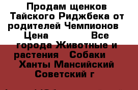 Продам щенков Тайского Риджбека от родителей Чемпионов › Цена ­ 30 000 - Все города Животные и растения » Собаки   . Ханты-Мансийский,Советский г.